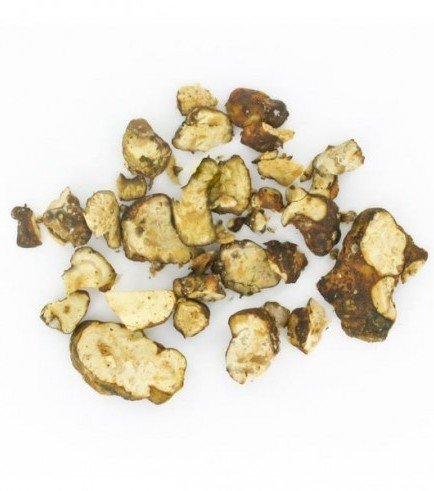 Psilocybe Hollandia (Psychedelic Truffles)